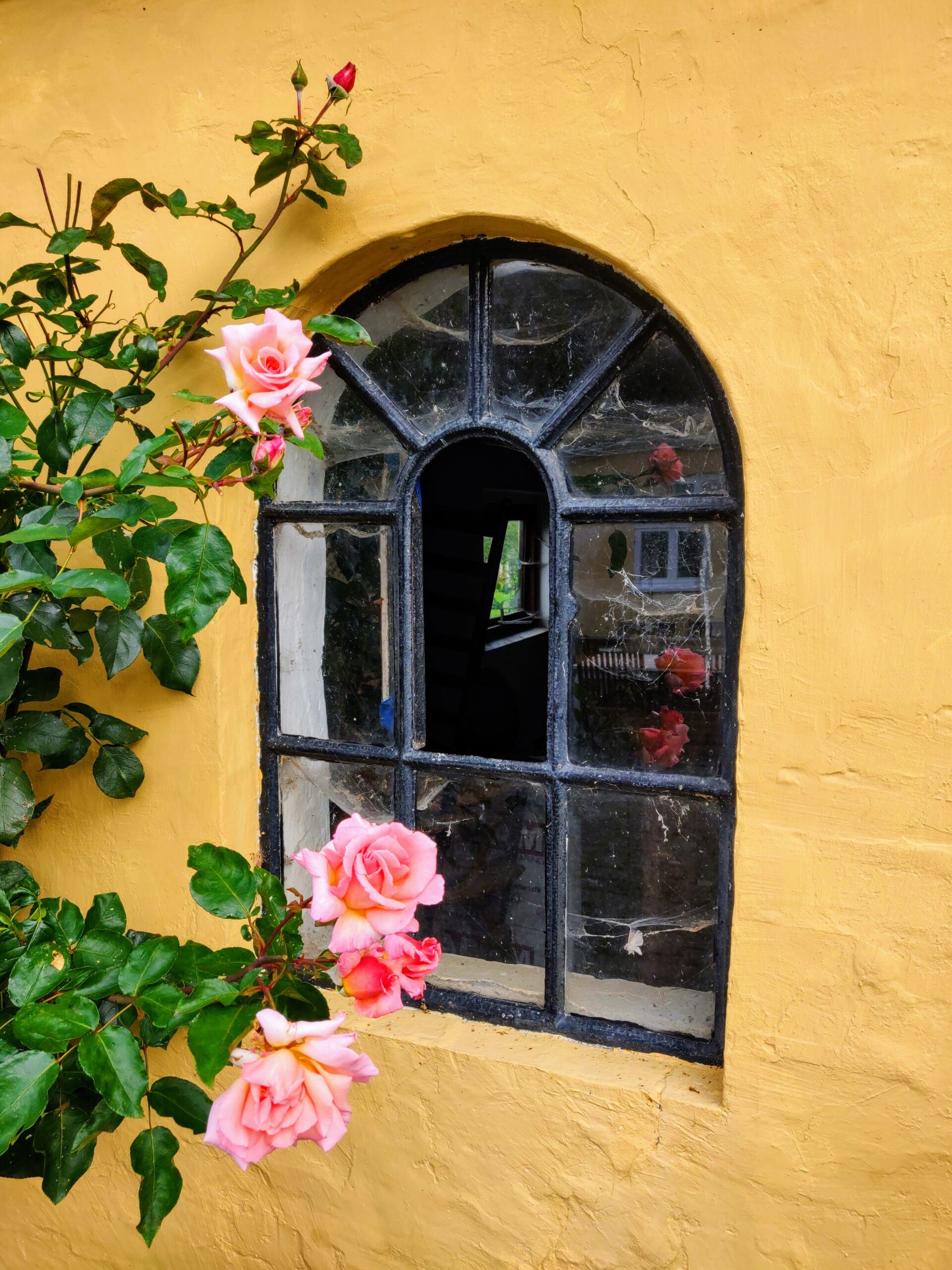 IMG_20190917_085426-EFFECTS